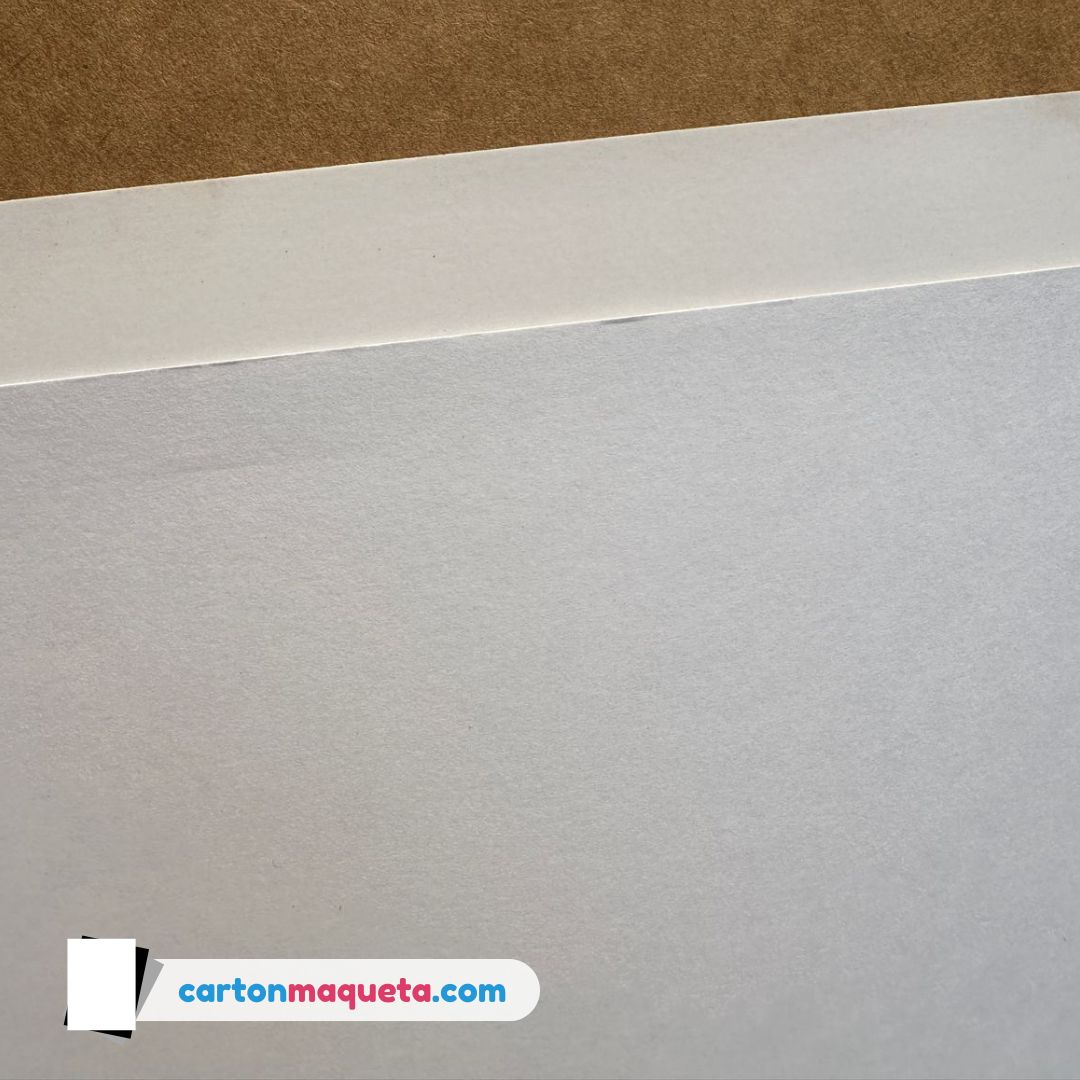 carton maqueta blanco precio