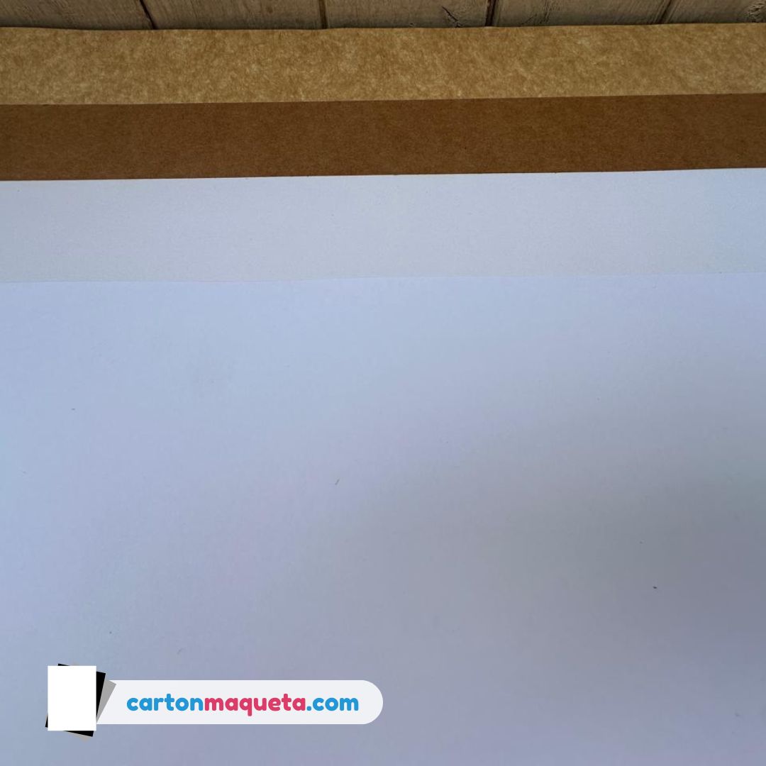 carton maqueta blanco